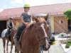reiten599_small.jpg